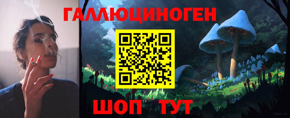 Псилоцибиновые грибы Psilocybe Ирбит